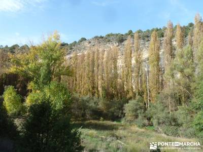 Hoces del Río Duratón - Villa y Tierra de Sepúlveda;nivel bajo